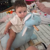 Cataleya photo 3