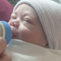Zayden photo 10