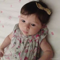 Willow photo 4