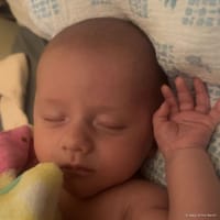 Luka James photo 6