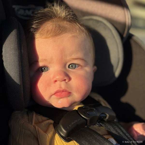 Beau - Contest Entry Photo