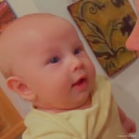 Bellamy photo 4