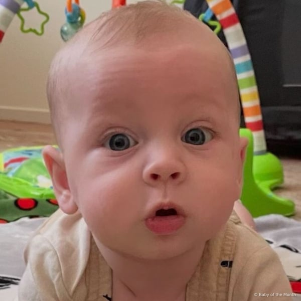 Bobby - Contest Entry Photo