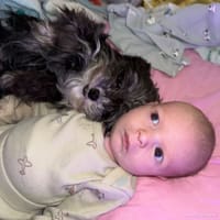 Carson photo 5