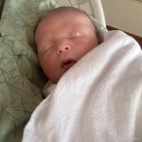Carson photo 7