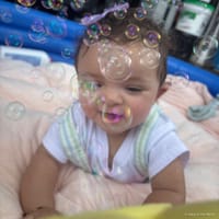 Cataleya photo 10