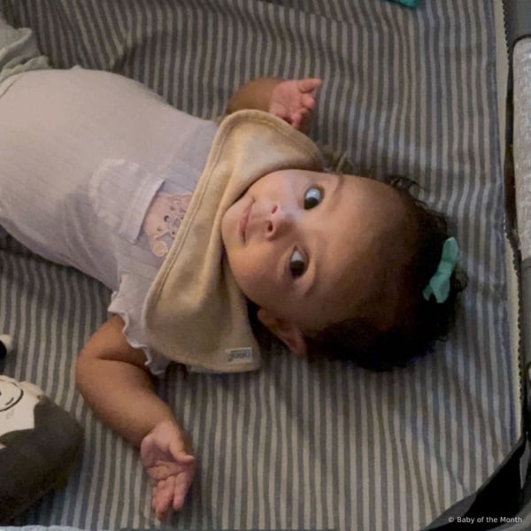 Charlotte - Contest Entry Photo