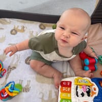 Colt photo 6