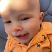 Colt photo 10