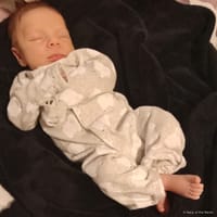 Cyrus photo 6