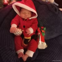Cyrus photo 7
