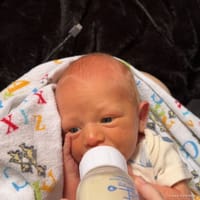 Dalton photo 5