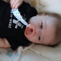 Elenora photo 8