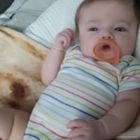 Elenora photo 4