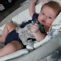 Elenora photo 7
