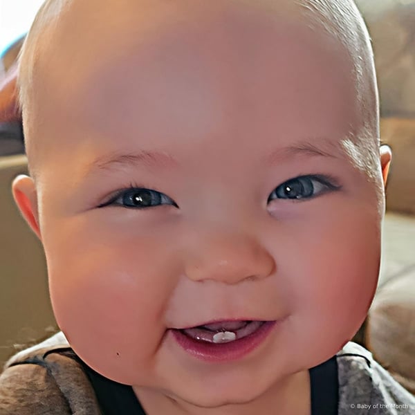 Eli photo