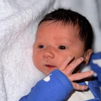 Eliezer photo 2