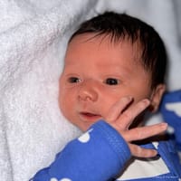 Eliezer photo 3