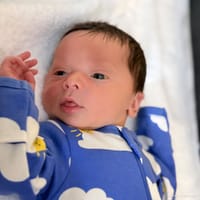 Eliezer photo 4
