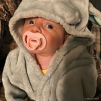 Ella photo 3