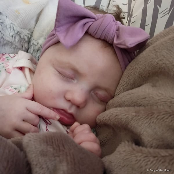 Ellison - Contest Entry Photo