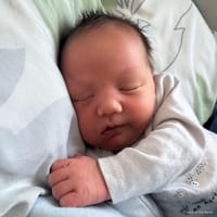 Emery photo 4