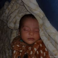 Evangelina photo 3