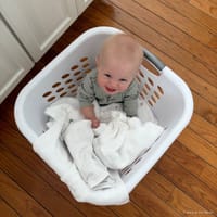Everett photo 6