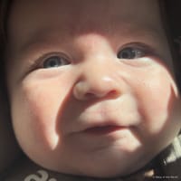 Ezra photo 3