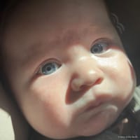 Ezra photo 4