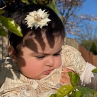 Fatima photo 7