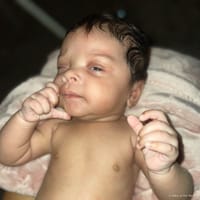 Freddie photo 6