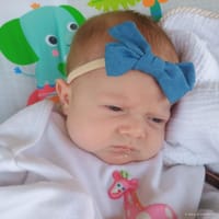 Georgia photo 5