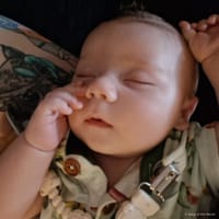 Grayson photo 2