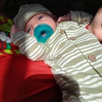 Harrison photo 2