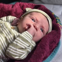 Harrison photo 7