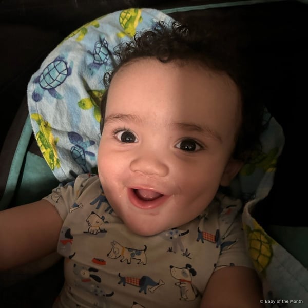 Hudson - Contest Entry Photo