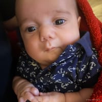 Hudson photo 10