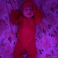 Icelynn photo 8