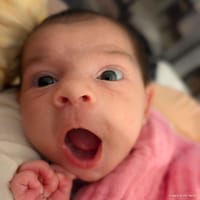 Isabella photo 5
