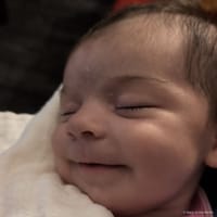Isabella photo 7