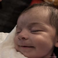 Isabella photo 5