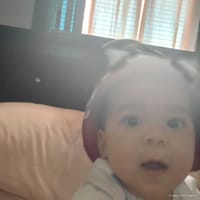 Jamari photo 5