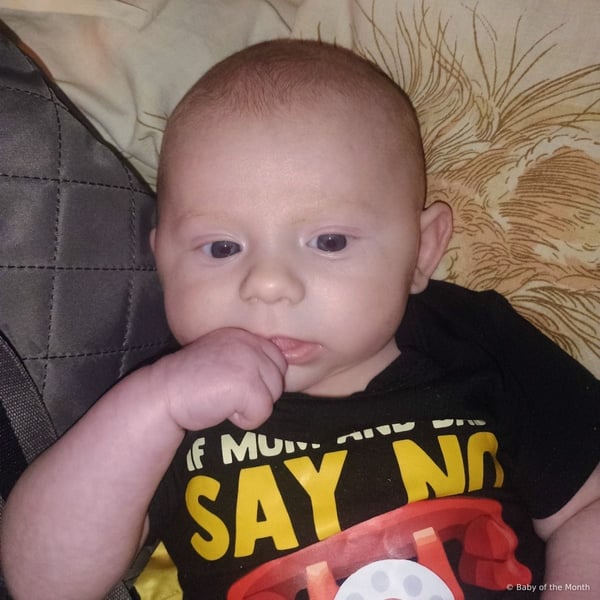 James - Contest Entry Photo