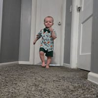 Jasper photo 6