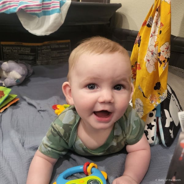 Jerry - Contest Entry Photo