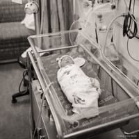 Jett photo 7