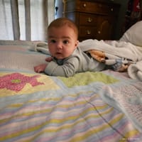 Johdi photo 3