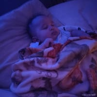 Josiah photo 8