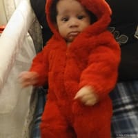 Josie
